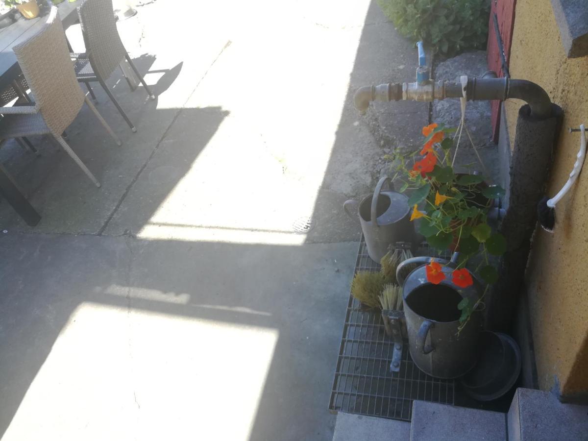Nakednature Bed and Breakfast Borre Εξωτερικό φωτογραφία